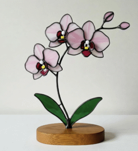 Orquids